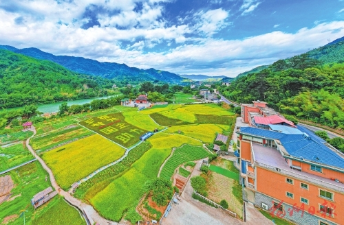 振兴快一步　千村向未来