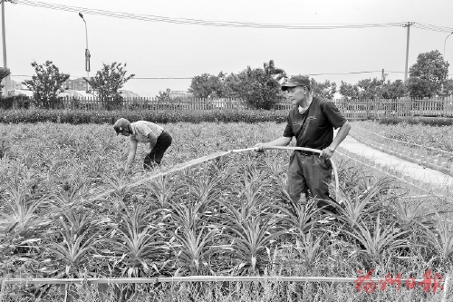村里大小事“上会”议一议