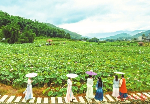 从“千万工程”经验探寻和美乡村密码