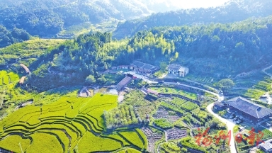 高山上的来客 高山上的来客