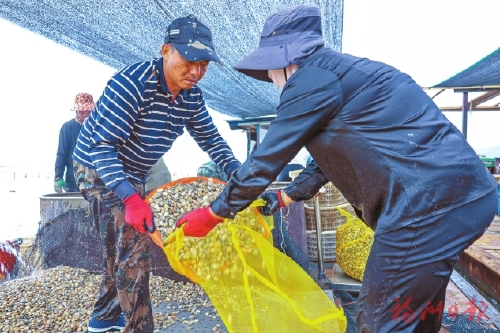 山珍海味丰收　“一子”带活“满盘”
