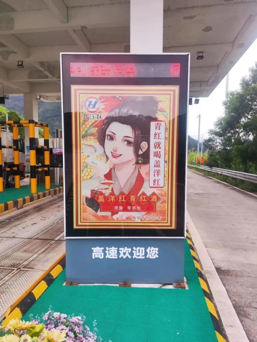 盖洋青红酒飘香 酿出乡村振兴“好滋味”
